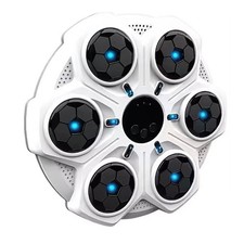 Interactive Boxing Training